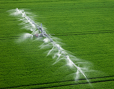 [Translate to English:] irrigation aerial view