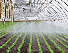 [Translate to English:] greenhouse irrigation